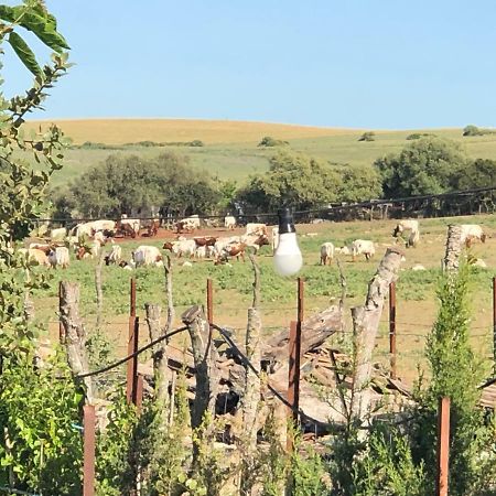 Alojamiento Rural El Soldao Медіна-Сідонія Екстер'єр фото